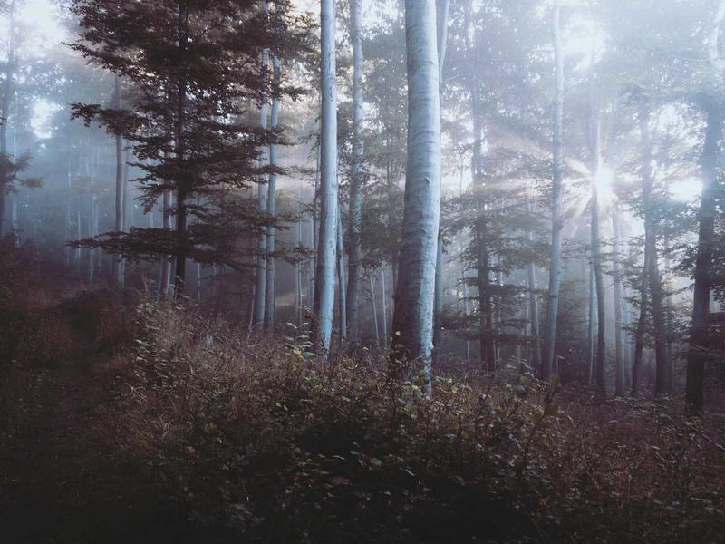 大漠孤烟<br>mcbhuqd.cn 边塞诗酒剑气